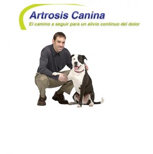 Campaa de prevencin de la artosis canina